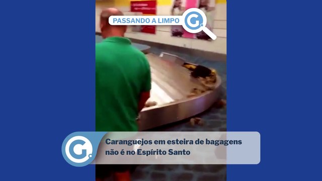 Caranguejos em esteira de bagagens não é no Espírito Santo