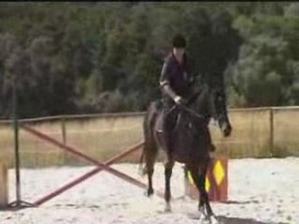 TEAM 60 cours du 21/06