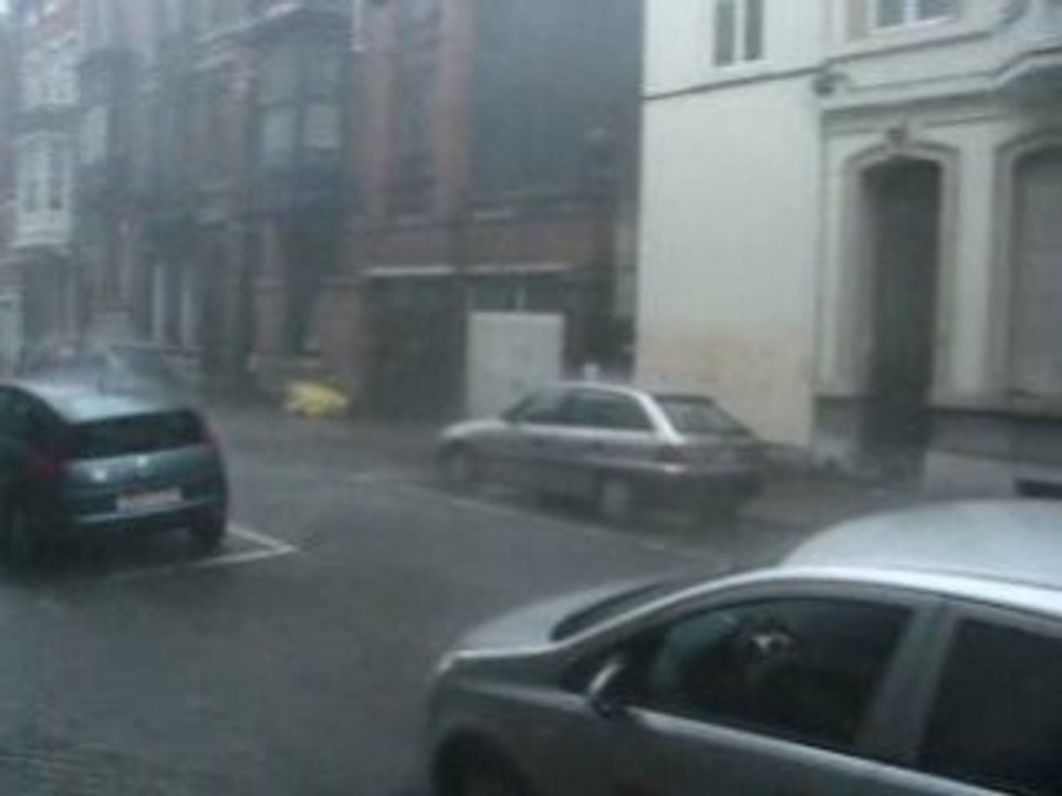 MVI_8264