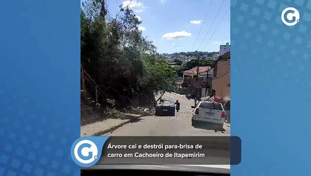 Árvore cai e destrói para-brisa de carro em Cachoeiro de Itapemirim