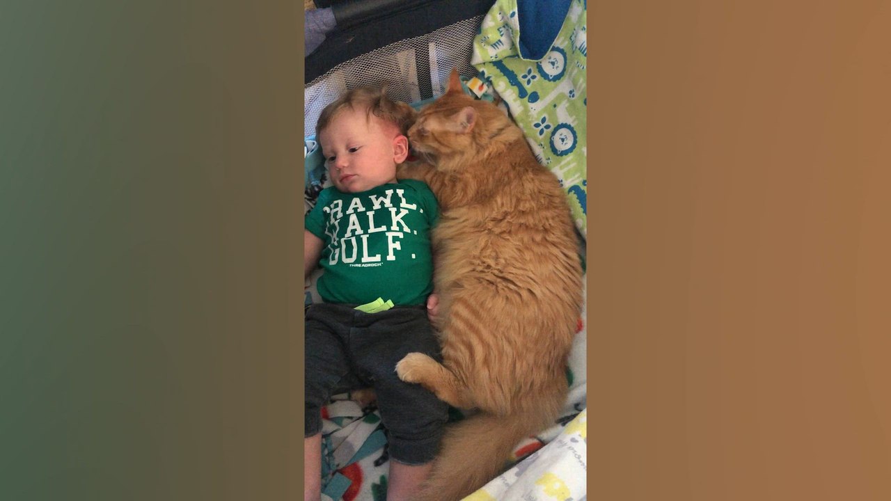 Adorable Babies