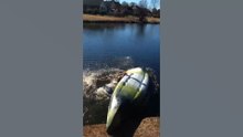 Weekly Fails