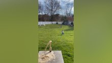 4th Fails