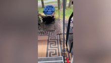 Best of the Week