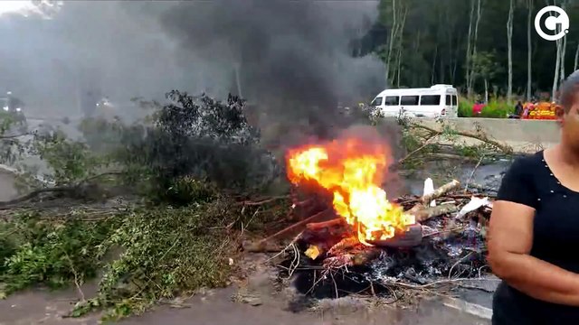 Rodovias federais do Espírito Santo registraram 38 atropelamentos em 2023