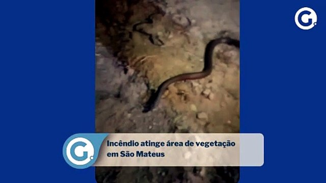 Incêndio atinge área de vegetação em São Mateus