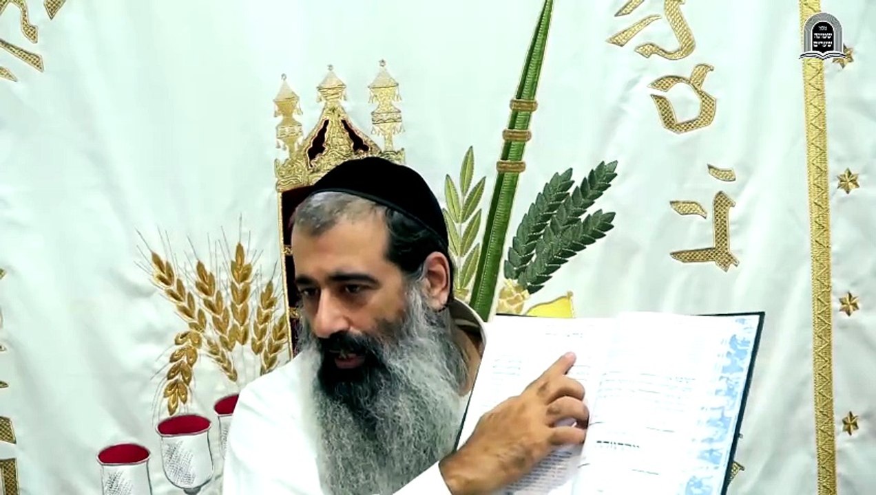 חיצוניות דפנימיות 1
