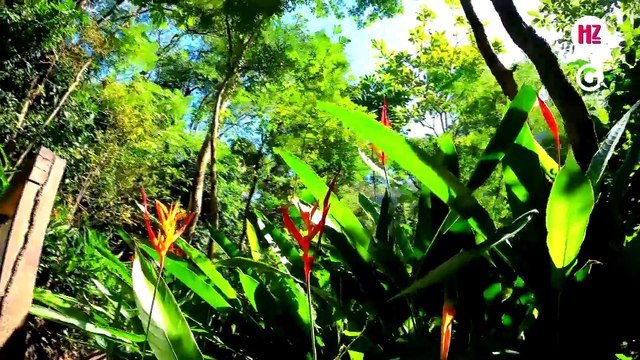 De belezas naturais à gastronomia: o que curtir em Alegre