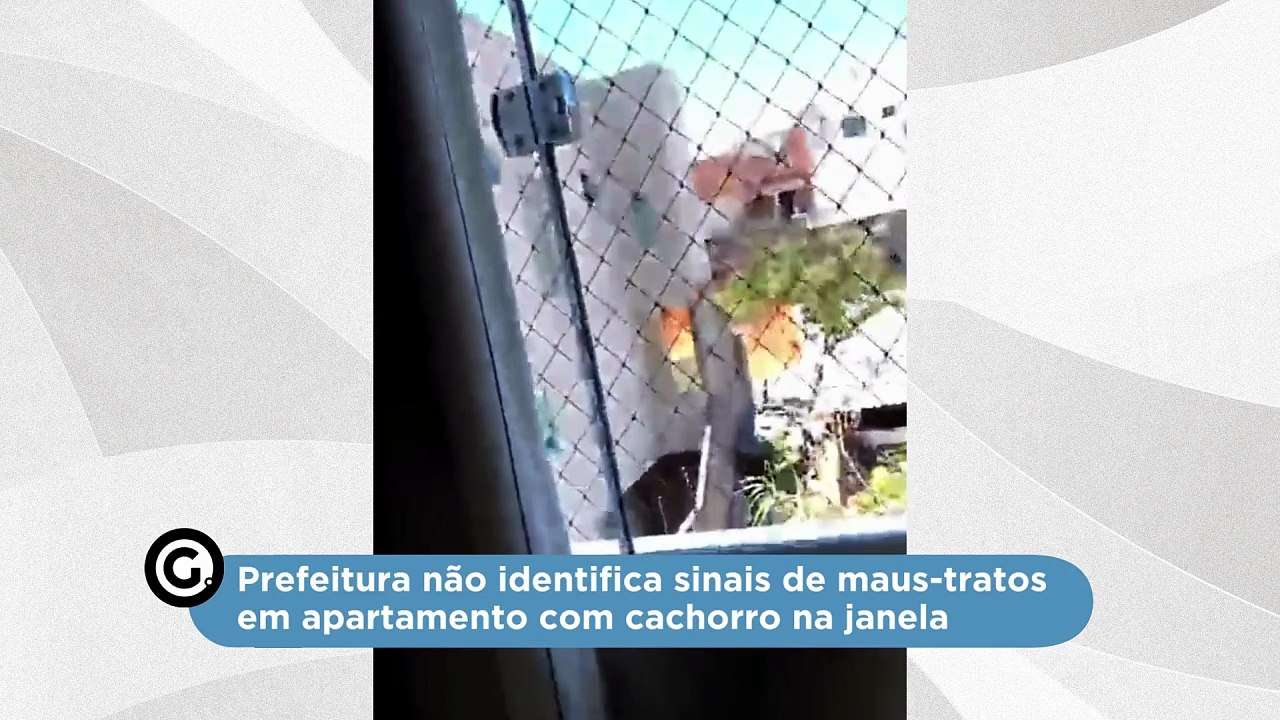 Prefeitura não identifica sinais de maus-tratos em apartamento com cachorro na janela