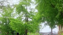 星光落漁火_1 曾輝 孟娜