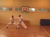 Kihon Shito Ryu Karate Do
