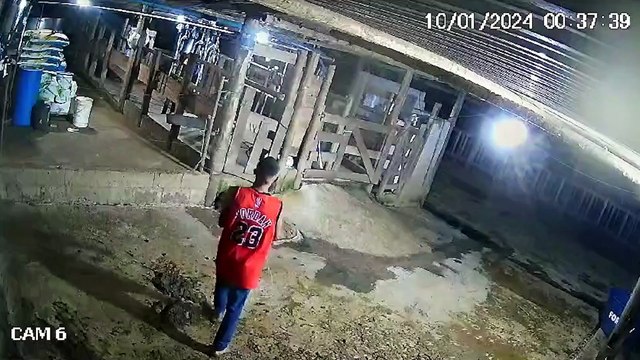 Polícia busca por suspeito de roubo a gado em fazenda de Linhares