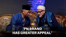 PAS, Bersatu fighting for control of ‘prized possession’ PN