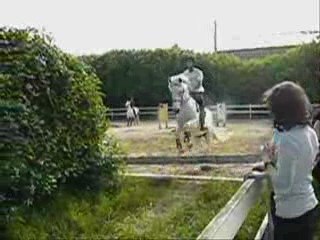 Reprise d'obstacle à cru à Caudan.