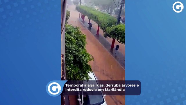 Temporal alaga ruas, derruba árvores e interdita rodovia em Marilândia