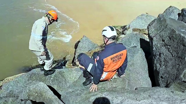 Homem é resgatado por Bombeiros após cair de píer em Vitória