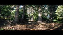 DU SANG ET DES LARMES (2013) Bande Annonce VF - HD [Full Movie]