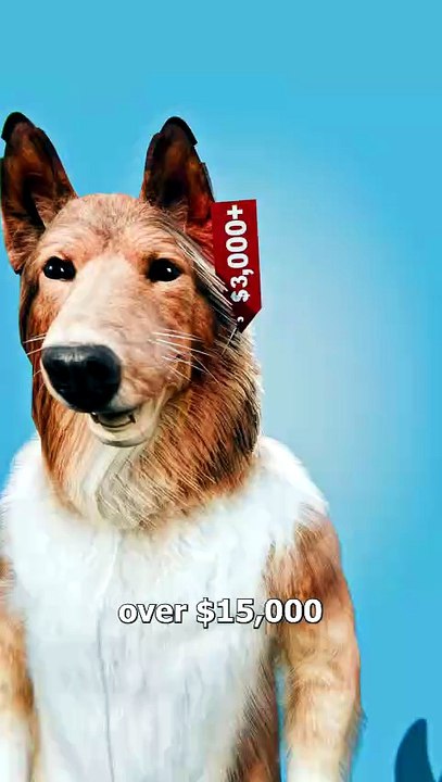 He Spent 15000 Dollars To Become A Dog 😮