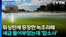 트럼프 "파란색 성조기" 호언장담했는데…당황스러운 색상 등장 [지금이뉴스]  / YTN