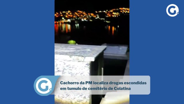 Cachorro da PM localiza drogas escondidas em tumulo de cemitério de Colatina
