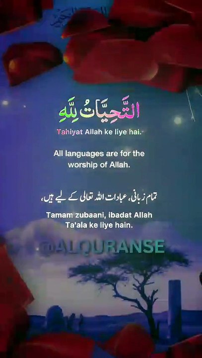 Namaz Mein Attahiyat (Tashahhud) Ka Sahi Tariqa ✨ || #alquranse || #shorts #namaz #dua