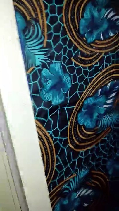Videos1