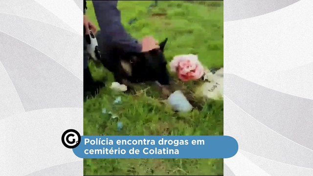 Polícia encontra drogas em cemitério de Colatina