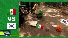 El pato Merlín ya se convirtió en la mascota no oficial de esta Copa del Mundo.
