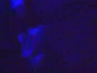 fete de la muZik au bunny's