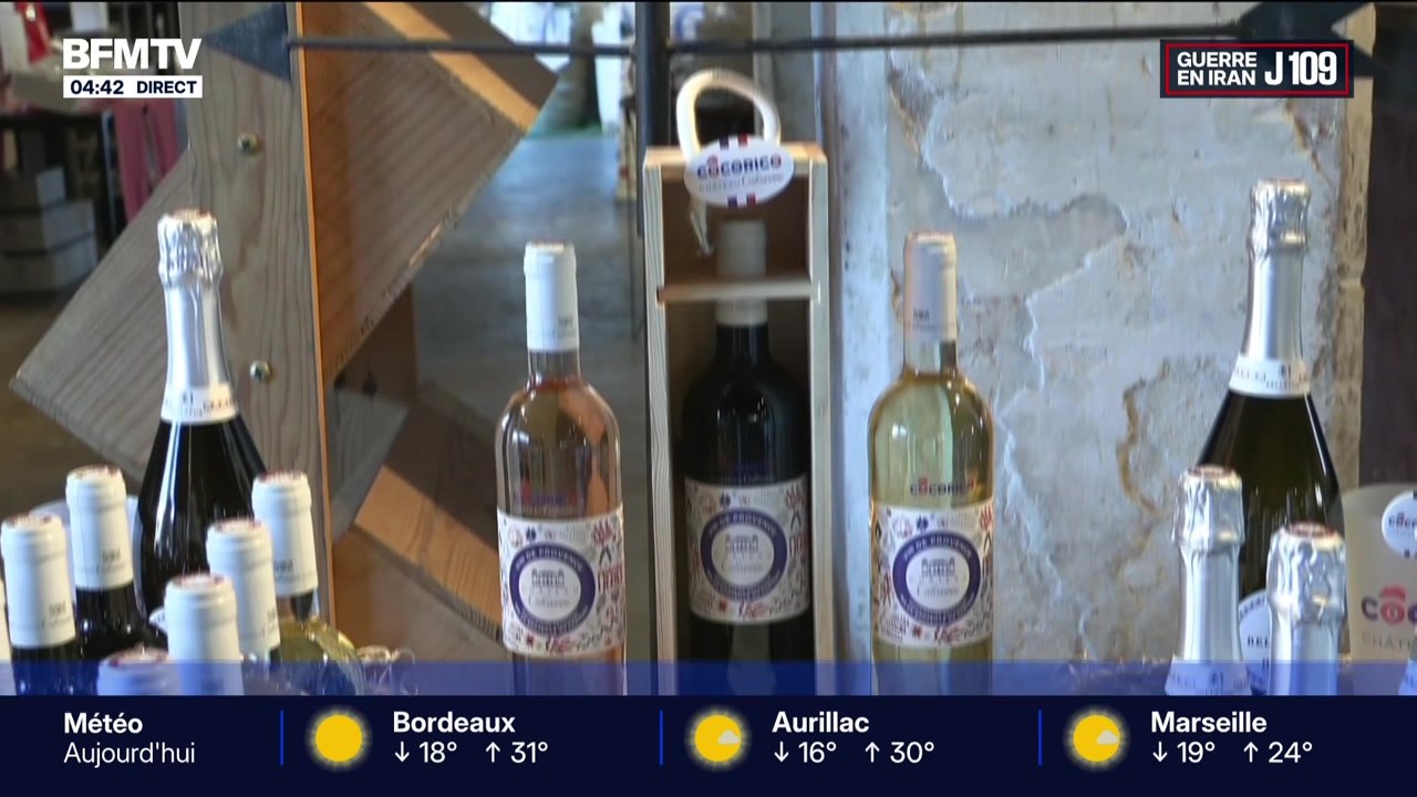 BFM Première 4h30/6h - 16/06