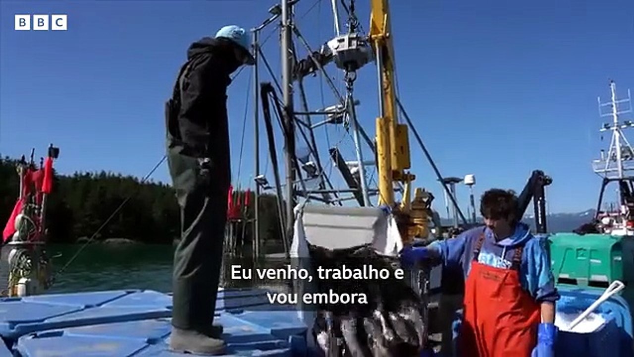 O Estado dos EUA que tenta atrair imigrantes