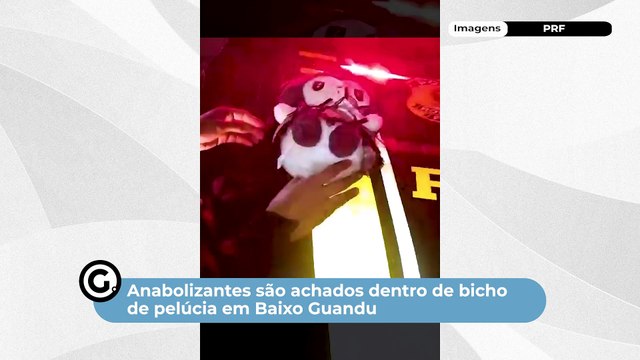 Anabolizantes são achados dentro de bicho de pelúcia em Baixo Guandu