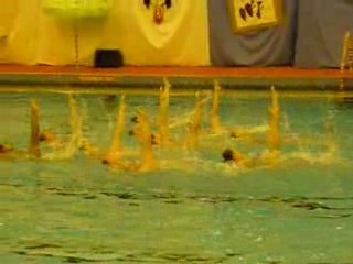 Gala de synchro 2008