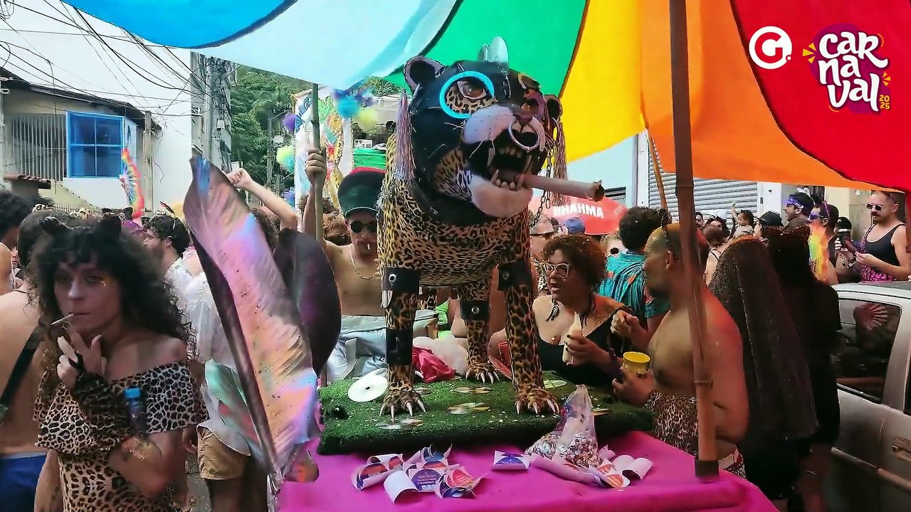 Bloco Amigos da Onça anima foliões em Vitória