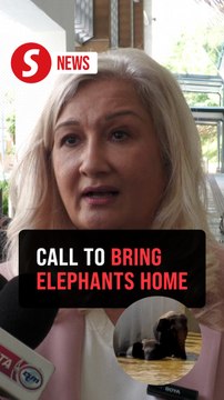 Animal activists push for return of three Malaysian elephants from Japan