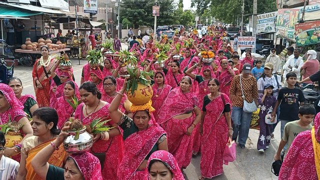 Alwar News: अलवर में श्रीमद्भागवत कथा से पहले निकली कलश यात्रा, 500 महिलाओं ने बिखेरे श्रद्धा के रंग