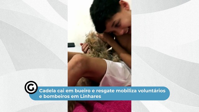 Cadela cai em bueiro e resgate mobiliza voluntários e bombeiros em Linhares