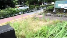 （東京ぶらり）・青山霊園・【学校設立に尽力した外国人たち】 2026年6月15日（月）　※圧縮処理あり