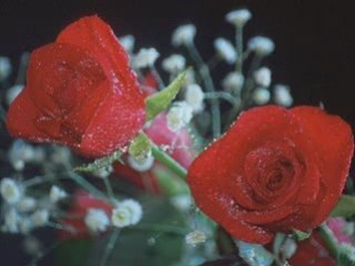 Orhan olmez acma zülüfleri & ßy adogan