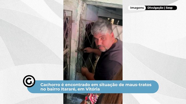 Cachorro é encontrado em situação de maus-tratos no bairro Itararé, em Vitória