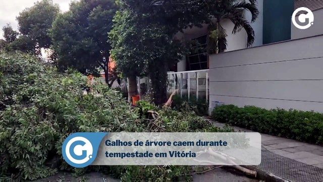 Galhos de árvore caem durante tempestade em Vitória