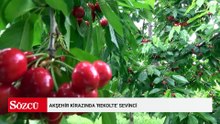 Akşehir kirazında 'rekolte' sevinci