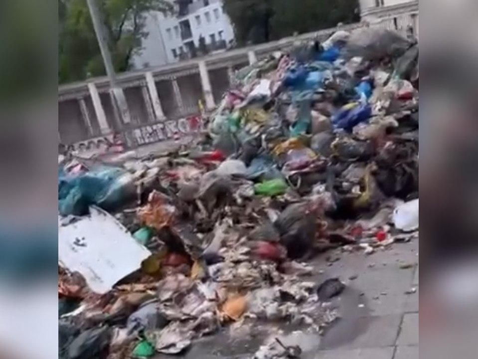 Müllwagen lädt seine komplette ladung mitten auf der straße ab