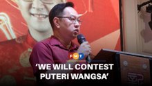 PKR to contest Puteri Wangsa in Johor polls
