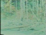 Face of Death - This Is The Famous Bigfoot 'Sasquatch' Vide