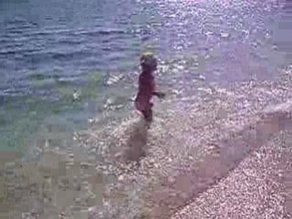 la plage