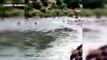 Çayda kaybolmuştu, akıntıya kapıldığı anlar kamerada: Halen aranıyor
