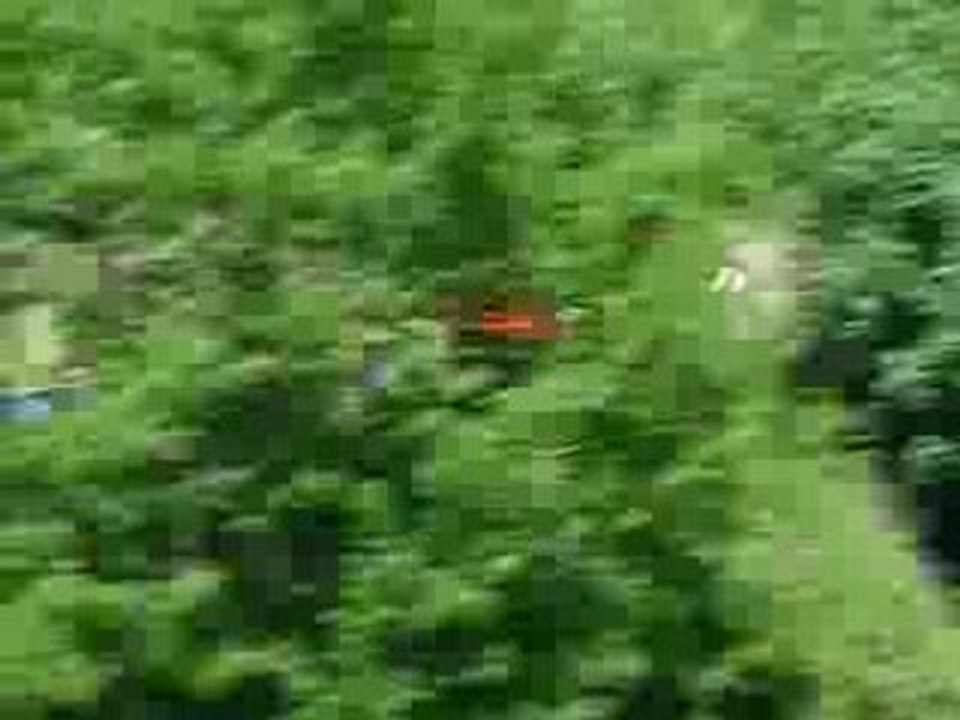 rally esculape part2