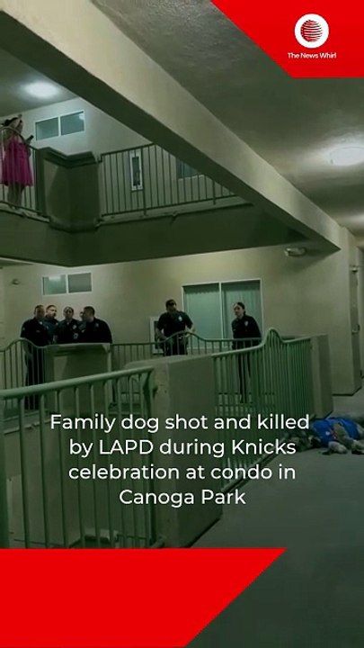Family dog shot and killed by LAPD