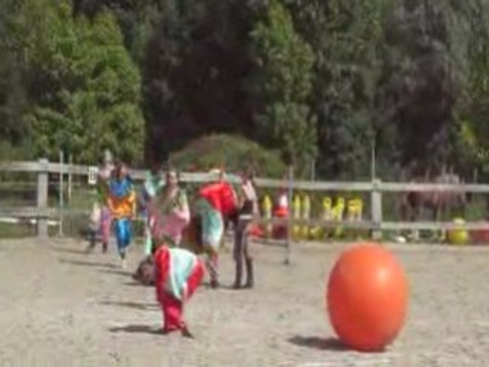 Spectacle cheval entier entre deux pres